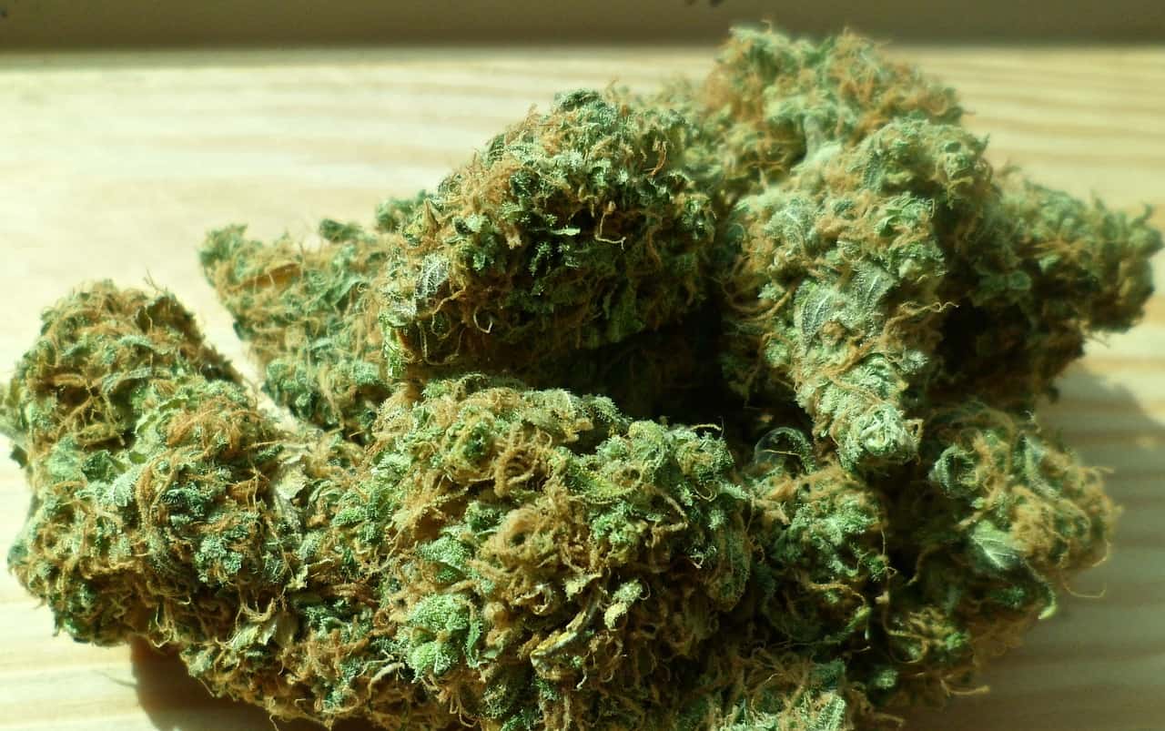 good cannabis buds