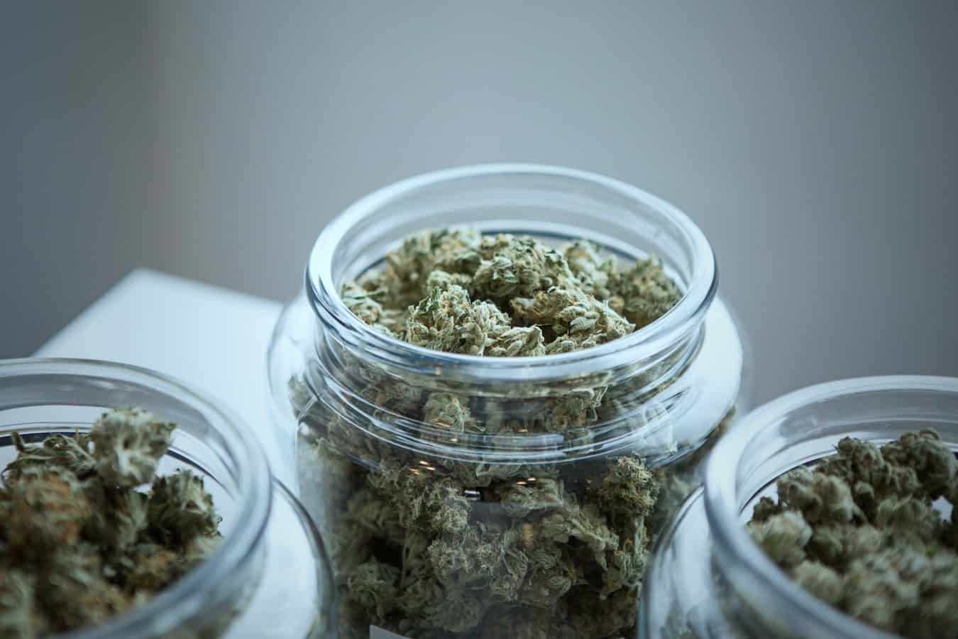 storing cannabis buds in a air tight jar