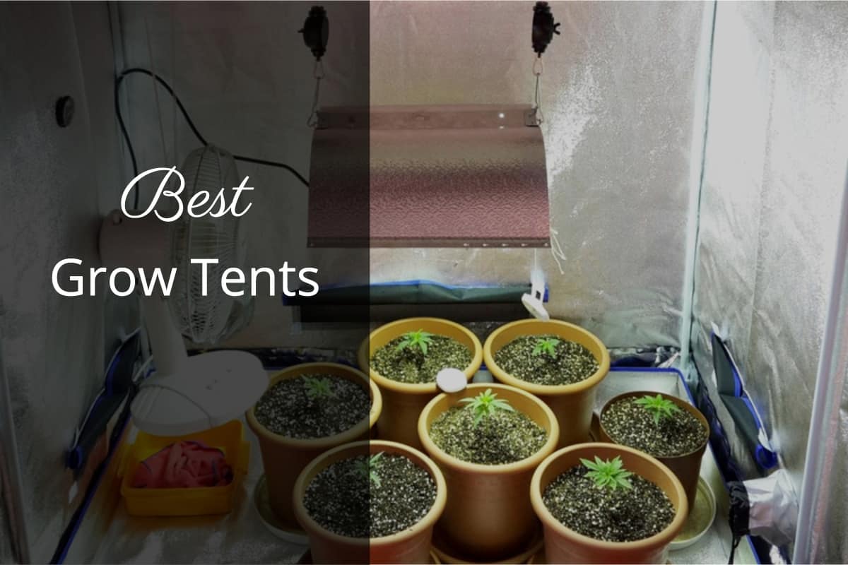 best grow tents