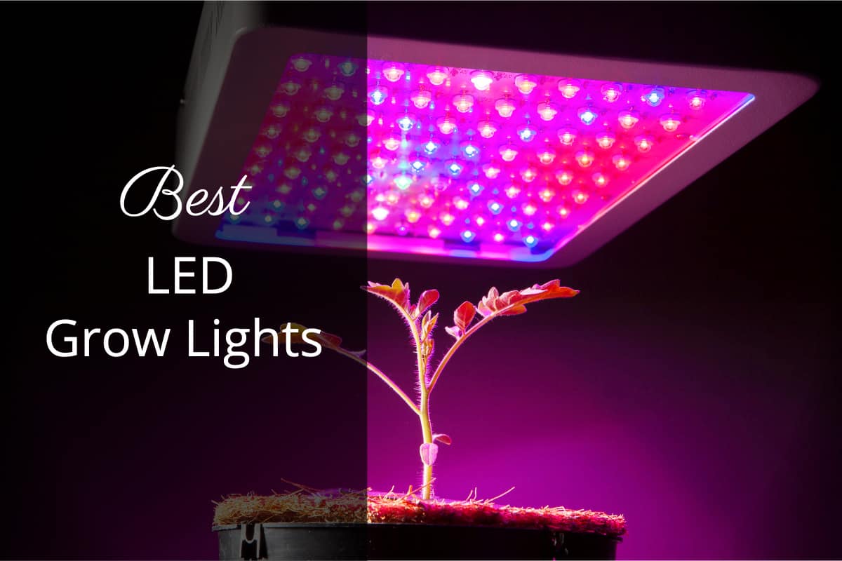 best led grow lights